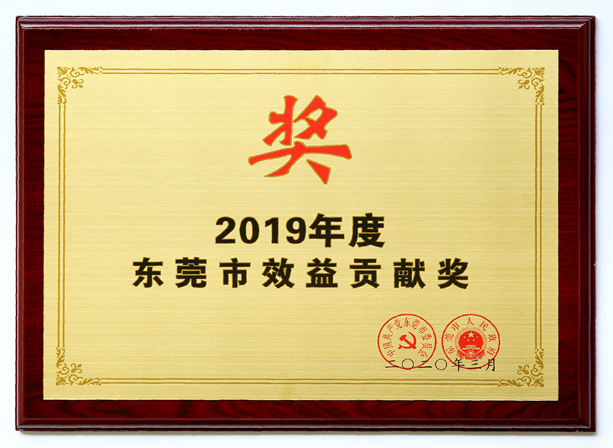 三正雁田房地產(chǎn)公司被評(píng)為“2019年度東莞市效益貢獻(xiàn)企業(yè)”.jpg